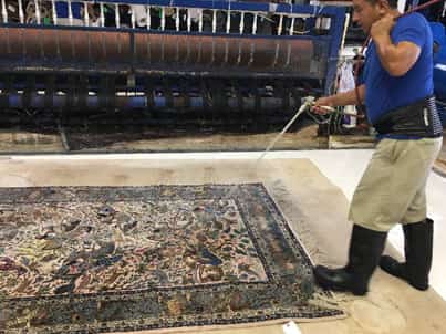 Area Rug Cleaning Area Rug Cleaning