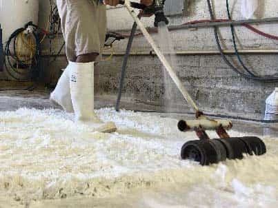 Pet Stain Removal Pet Stain Removal